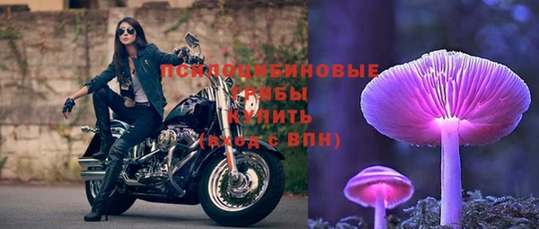 СК Алексеевка